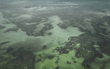 Mercan resifi Palancar deniz manzarası ve turkuaz yeşil ve mavi su ile Karayip deniz manzarası Playa del Carmen Quintana Roo Meksika 'da dalgalar.