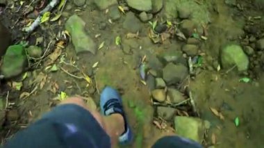 Orta Amerika 'daki Para Heredia Kosta Rika' da tropikal orman ve orman doğasında yürüyüş..