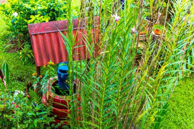 Orta Amerika 'daki Para Heredia Kosta Rika' da süsleme suyu, bitki ve bitkilerle dolu güzel bir bahçe..