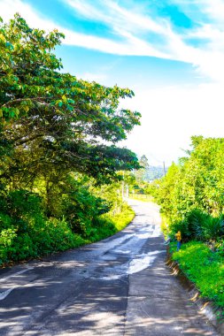 Orta Amerika 'daki Para Heredia Kosta Rika' da dağları olan doğal toprak ve orman boyunca köy yolu ve yolu..