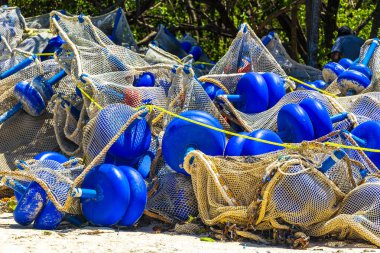Meksika 'nın tropik karayip sahillerinde Sargazo yosunlu deniz yosunu ile Playa del Carmen Meksika' nın turkuaz mavi sularında büyük iğrenç bir sorun var..