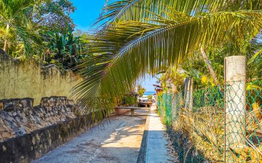 Zicatela Puerto Escondido Oaxaca Meksika 'daki tropikal ormanlarda açık kanalizasyon sistemi..