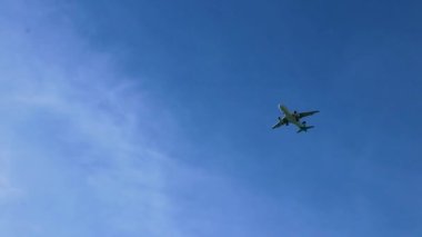 Güneydoğu Asya 'daki Surat Thani Tayland' daki Koh Samui adasında mavi gökyüzünde uçuyor..