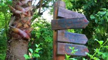 Atina Attica Yunanistan 07. Ekim 2018 Atina Attica Yunanistan 'da yol ve doğa ile yol ve doğa ile Ulusal Park işaret levhası.