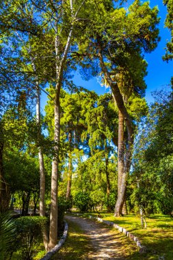Atina Attica Yunanistan 'da yol ve doğa ile Şehir Parkı.