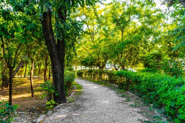 Atina Attica Yunanistan 'da yol ve doğa ile Şehir Parkı.