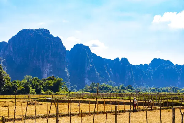 Güneydoğu Asya 'daki Vang Vieng Vientiane Vientiane Eyaleti Laos' taki tropikal orman tepeleriyle dağ zirvesi..