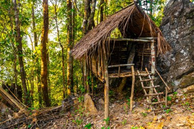 Güney Asya 'daki Vang Vieng Vientiane Vientiane Eyaleti Laos' taki tropikal orman ve ormandaki panorama manzaralı kulübe.