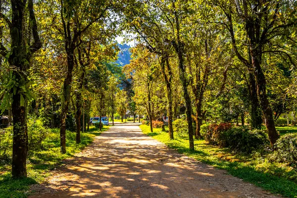 Güneydoğu Asya 'daki Vang Vieng Vientiane Eyaleti Laos' taki tropik doğa parkı ve bahçesi..