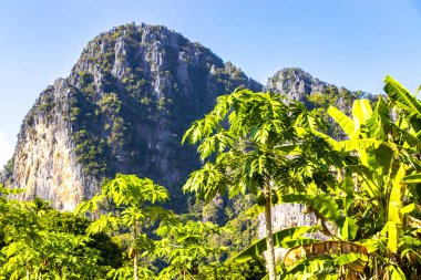 Güneydoğu Asya 'daki Vang Vieng Vientiane Eyaleti Laos' ta tropikal orman tepeleri kayalar ve mavi gökyüzü ile dağ zirvesi..