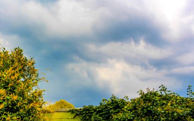 Storm clouds over green garden in Bremen Germany. clipart