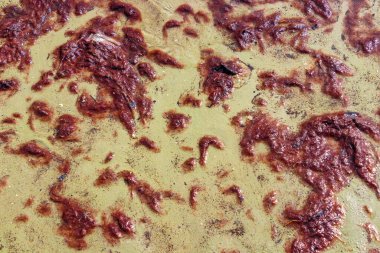 Güneydoğu Asya 'daki Ao Nang Amphoe Mueang Krabi Tayland' daki NopPharat Thara Sahili 'nde su ve deniz yosunlarıyla dalgalar..