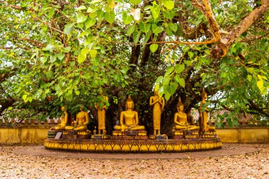 Pha Luang altın stupa ve Wat Luang Tai tapınağı Buda heykelleri ile Vientiane Laos, Güney Asya 'da heykeller.