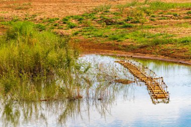 Güneydoğu Asya 'daki Vientiane Laos' taki Mekong Nehri 'nin yüzen su gölü tropikal doğa manzarası ve manzarası..