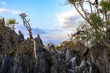 Güneydoğu Asya 'daki Vang Vieng Vientiane Eyaleti Laos' ta tropikal orman tepeleri kayalar ve mavi gökyüzü ile dağ zirvesi..