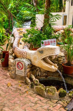 Yılan çeşmesi heykeli Playa del Carmen Quintana Roo Mexico 'ya su püskürtür..