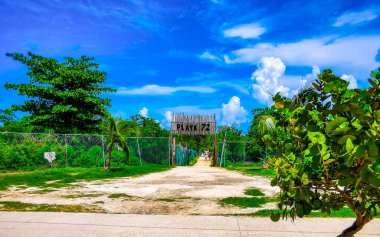 Playa del Carmen Meksika 01. Temmuz 2024 Doğal Karayip Sahil Girişi Bilgi Panosu Palapa Kulübesi hoş geldiniz orman palmiye ağaçları ve tropik Meksika plajına giden yol.