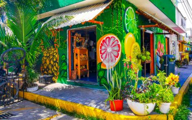 Playa del Carmen Quintana Roo Meksika 'daki güzel küçük meyve ve sebze dükkanı.