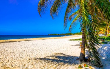 Playa del Carmen Quintana Roo Meksika 'da berrak turkuaz mavi su ve palmiye ağaçları ile tropik Meksika Karayip sahili manzarası.