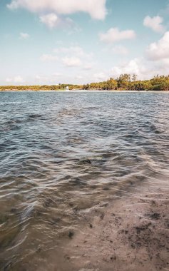 Amazing tropical mexican caribbean beach and sea landscape panorama with clear turquoise blue water waves and white sand in Playa del Carmen Mexico. clipart