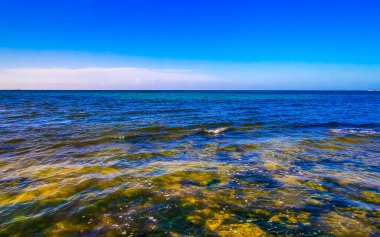 Playa del Carmen Quintana Roo Meksika 'daki tropik Karayip plajında turkuaz yeşil ve mavi sularda kayalar ve mercanlar..