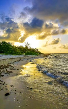 Playa del Carmen Mexico 'da turkuaz mavi su tatil beldeleri ve palmiye ağaçlarıyla tropikal Meksika Karayip Sahili manzarasında muhteşem ve renkli gün batımı..