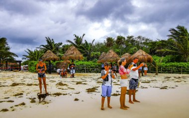 Playa del Carmen Quintana Roo Meksika 05. Temmuz 2024 Beryl Kasırgası şiddetli rüzgar ve fırtına plajda yıkıma ve yıkıma yol açtı..