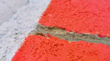 Zicatela Puerto Escondido Oaxaca 'da kırmızı duvarda zıplayan küçük örümcek..