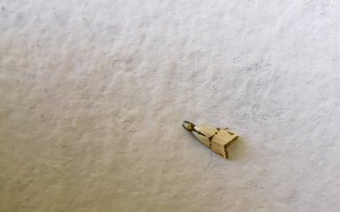 Zicatela Puerto Escondido Oaxaca 'daki beyaz duvarda nadir bulunan beyaz böcek..