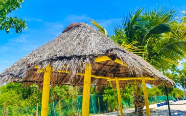 Playa del Carmen Quintana Roo Meksika 'daki bir ahırın çatısından dökülen palmiye yaprakları..