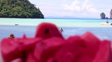 Güneydoğu Asya 'daki Ao Nang Amphoe Mueang Krabi Tayland' daki Koh Phi Phi Don adasında karpuz meyvesi.