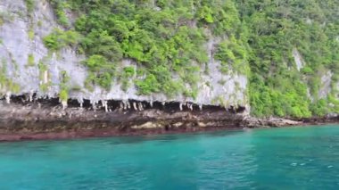 Güneydoğu Asya 'daki Ao Nang Amphoe Mueang Krabi Tayland' daki Koh Phi Phi Don adasındaki kayanın kireçtaşı mağarası ve turkuaz mavisi suyu..