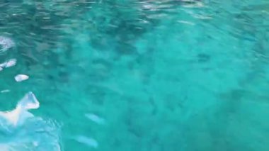 Güneydoğu Asya 'daki Ao Nang Amphoe Mueang Krabi Tayland' daki Koh Phi Phi Leh adasında berrak turkuaz mavi su ve dalgalar dalgalanır..