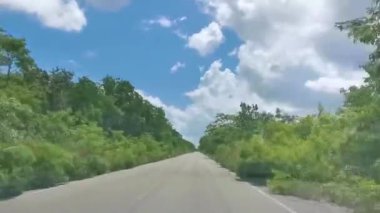 Quintana Roo Mexico 'daki Solferino Lazaro Cardenas' taki köy çamurundan ve tropikal ormandan geçiyoruz..