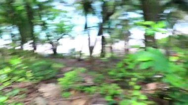 Phuket Adası Tayland 'daki Naithon Beach Sakhu Thalang nehrindeki Çöp Kirli Plastik Kiri ve Kirlilik Güney Asya' daki Tayland.