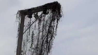 Elektrik direği kablosu ve gri gökyüzü Naithon Sahili 'nde Sakhu Thalang Phuket Adası Tayland, Güney Asya.