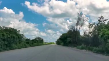 Quintana Roo Mexico 'da Los Aluxes Lazaro Cardenas köyü boyunca uzanan tropik orman ve orman..