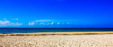 Amazing tropical mexican caribbean beach and sea landscape panorama with clear turquoise blue water waves and white sand in Playa del Carmen Mexico. clipart