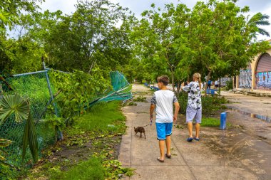 Playa del Carmen Quintana Roo Meksika 05. Temmuz 2024 Beryl Kasırgası şiddetli rüzgar ve gök gürültülü fırtınalar yıkıma ve yıkıma neden oldu. Ağaçlar, palmiyeler, caddeler, arabalar, çatılar..