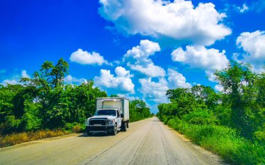 Tropical jungle and forest with road through the village Kantunilkin Lazaro Cardenas in Quintana Roo Mexico. clipart