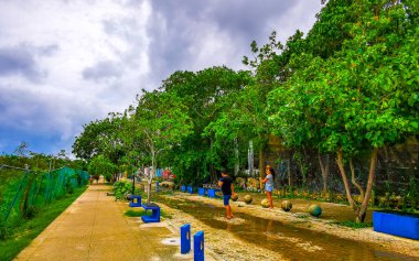 Playa del Carmen Quintana Roo Meksika 05. Temmuz 2024 Beryl Kasırgası şiddetli rüzgar ve gök gürültülü fırtınalar yıkıma ve yıkıma neden oldu. Ağaçlar, palmiyeler, caddeler, arabalar, çatılar..