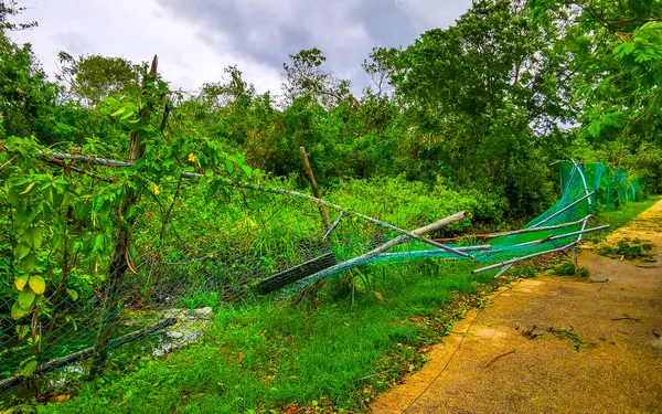 Playa del Carmen Quintana Roo Meksika 05. Temmuz 2024 Beryl Kasırgası şiddetli rüzgar ve gök gürültülü fırtınalar yıkıma ve yıkıma neden oldu. Ağaçlar, palmiyeler, caddeler, arabalar, çatılar..