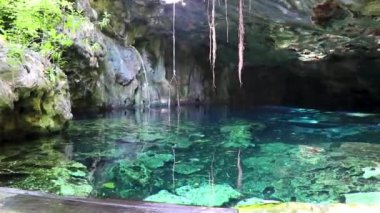 Güzel Cenote Park Minotauro 'da kireçtaşı kayaları turkuaz mavi su ve doğa ormanı Xpu Ha Quintana Roo Mexico' da..