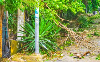 Playa del Carmen Quintana Roo Meksika 05. Temmuz 2024 Beryl Kasırgası şiddetli rüzgar ve gök gürültülü fırtınalar yıkıma ve yıkıma neden oldu. Ağaçlar, palmiyeler, caddeler, arabalar, çatılar..