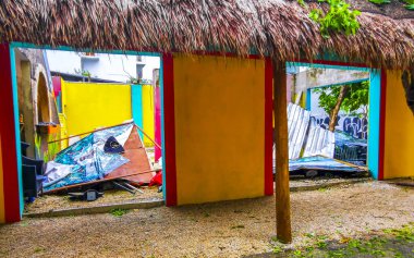 Playa del Carmen Quintana Roo Meksika 05. Temmuz 2024 Beryl Kasırgası şiddetli rüzgar ve gök gürültülü fırtınalar yıkıma ve yıkıma neden oldu. Ağaçlar, palmiyeler, caddeler, arabalar, çatılar..