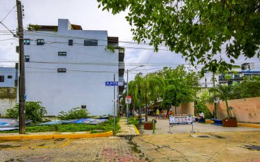 Playa del Carmen Quintana Roo Meksika 05. Temmuz 2024 Beryl Kasırgası şiddetli rüzgar ve gök gürültülü fırtınalar yıkıma ve yıkıma neden oldu. Ağaçlar, palmiyeler, caddeler, arabalar, çatılar..