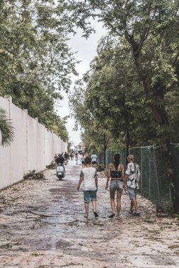 Playa del Carmen Quintana Roo Meksika 05. Temmuz 2024 Beryl Kasırgası şiddetli rüzgar ve gök gürültülü fırtınalar yıkıma ve yıkıma neden oldu. Ağaçlar, palmiyeler, caddeler, arabalar, çatılar..