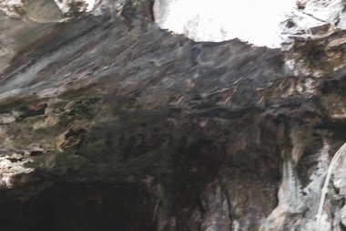 Güzel Cenote Parkı Minotauro 'da kireçtaşı kayaları ağaç kökleri ve yer altındaki doğa ormanları Xpu Ha Quintana Roo Meksika' da..