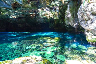 Güzel Cenote Park Minotauro 'da kireçtaşı kayaları turkuaz mavi su ve doğa ormanı Xpu Ha Quintana Roo Mexico' da..