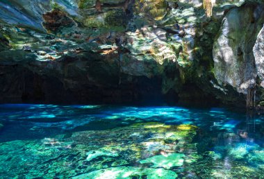 Güzel Cenote Park Minotauro 'da kireçtaşı kayaları turkuaz mavi su ve doğa ormanı Xpu Ha Quintana Roo Mexico' da..